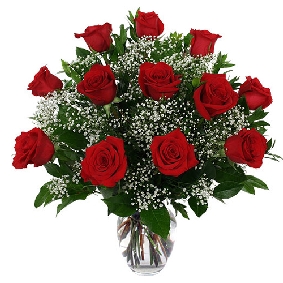 13 красных роз в вазе