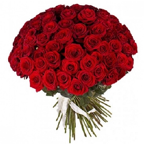 51 Red Roses Bouquet and Teddy