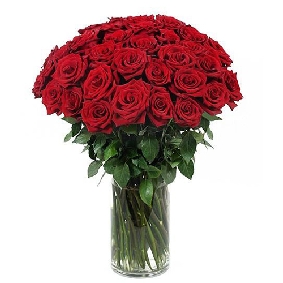 65 Red Roses in Vase