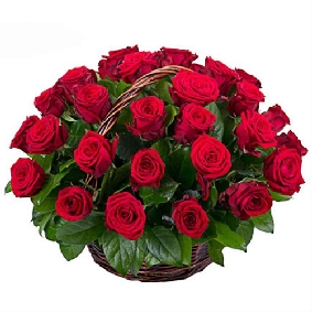 Basket of 51 Red Roses
