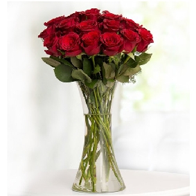 17 Rote Rosen in Vase