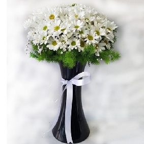 Vase White Chrysanthemum